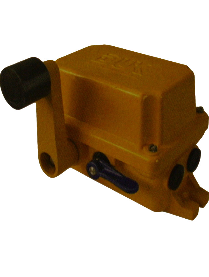 Lever limit switch-image